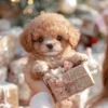 Ceoerty™ AI RoboPup: The Realistic Companion🐶My Realistic Robot Puppy